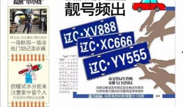 鞍山今日爆料,揭秘城市热点事件背后的真相