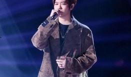 王泽鹏爆料视频,事件背后惊人真相